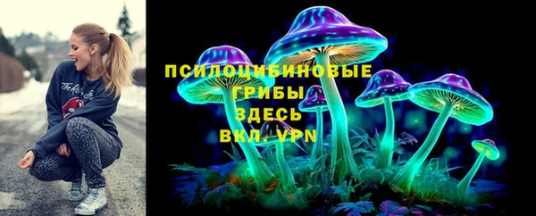 шишки Абдулино