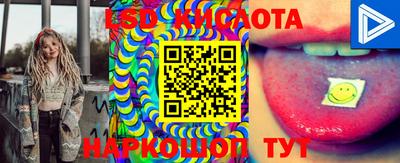 прущие крисы Сланцы